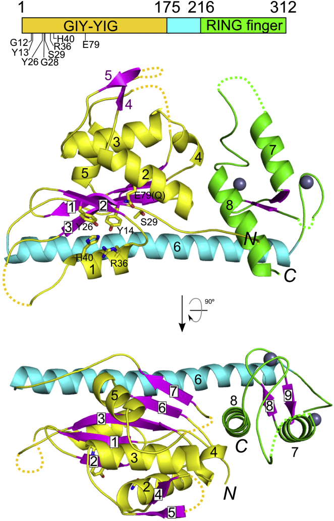 Figure 2