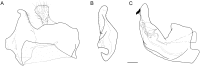 Fig. 15.