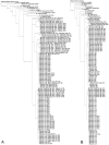 Fig. 9.