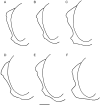 Fig. 37.