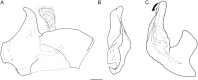 Fig. 33.