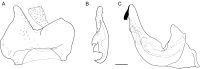 Fig. 23.