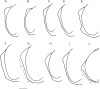 Fig. 3.