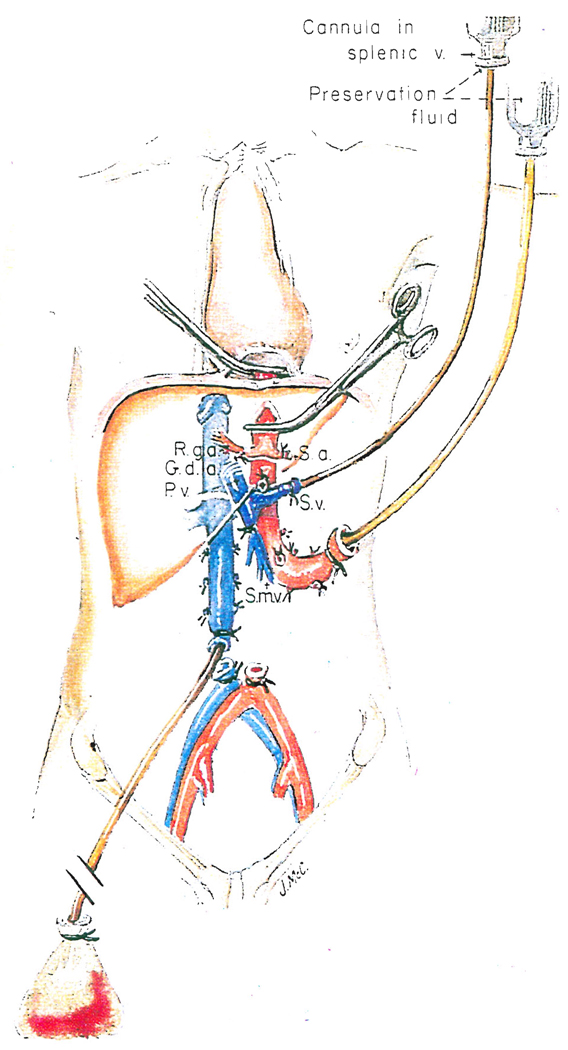 Fig. 9