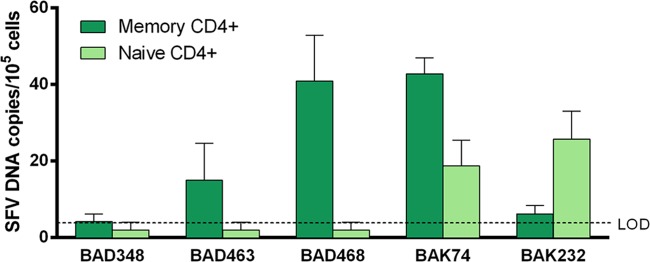 FIG 3