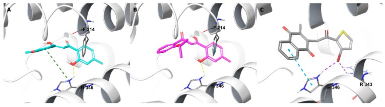 Figure 11