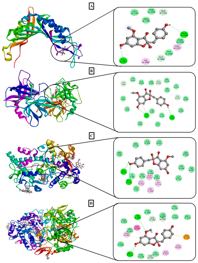 Figure 5