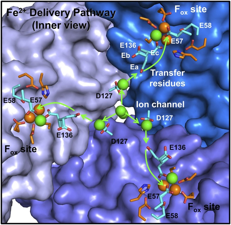 Fig. 4.