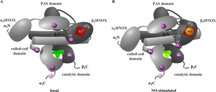 FIGURE 7.