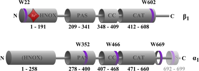 FIGURE 1.