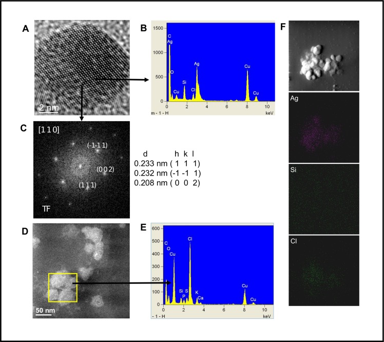 Fig 6