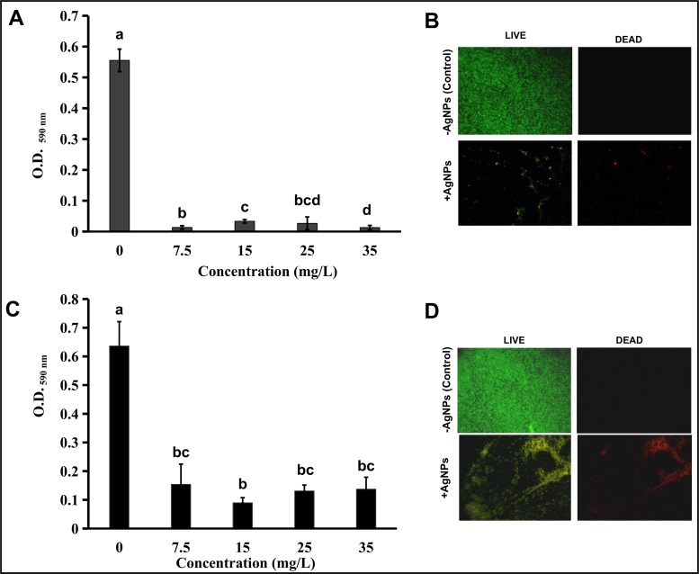 Fig 10