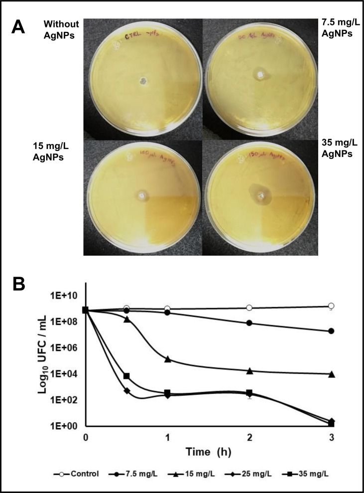 Fig 9