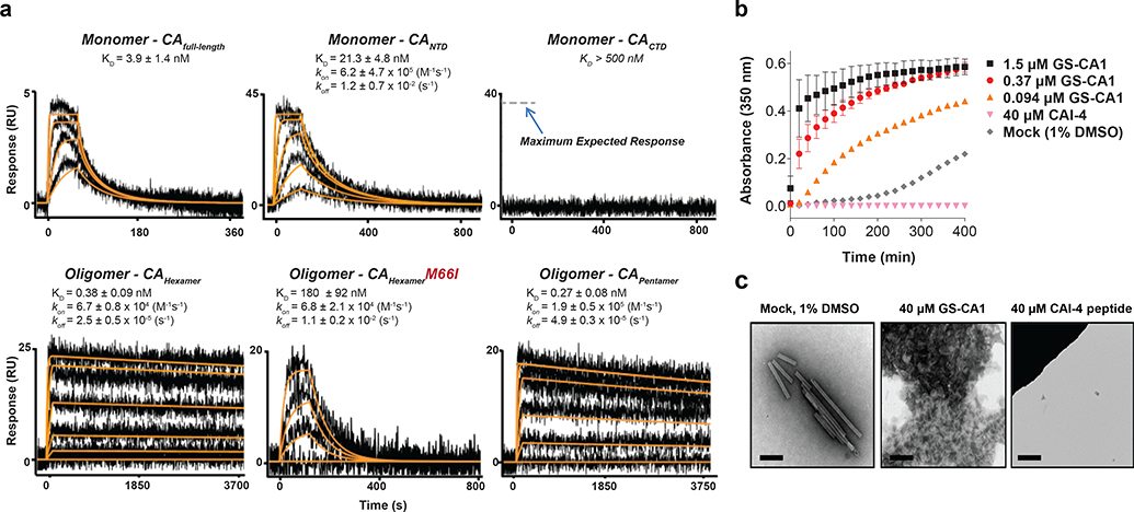 Fig. 2: