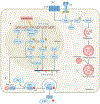 Fig. 1 ∣