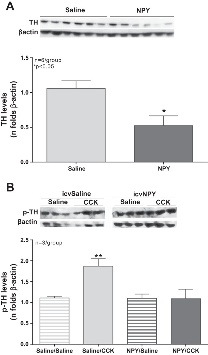 Fig. 7.