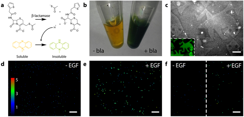 Figure 5 |