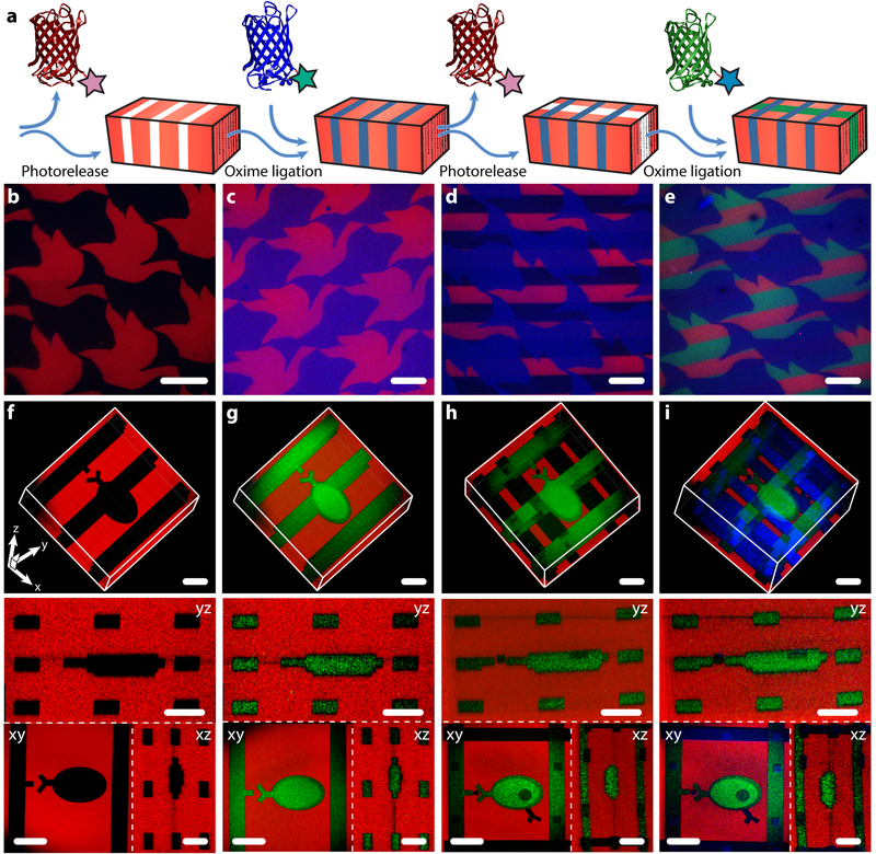 Figure 4 |