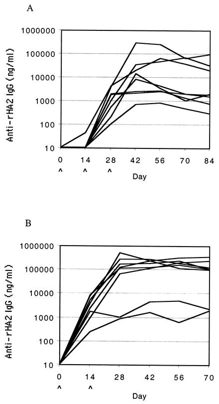 FIG. 1.