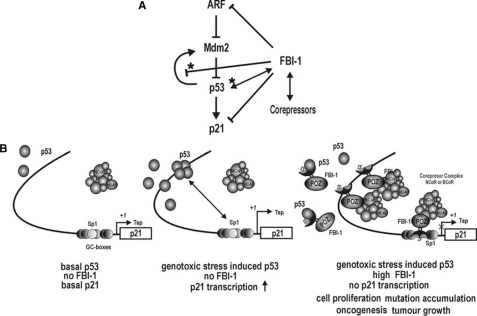 FIGURE 10.