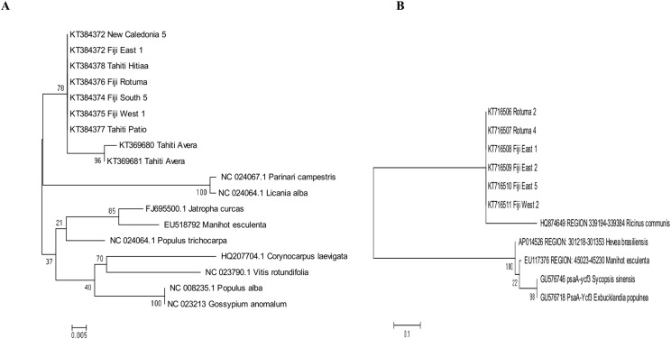 Figure 7