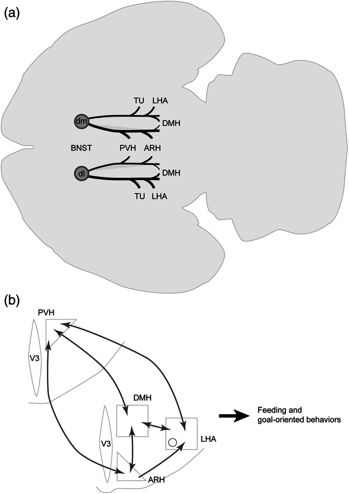 FIGURE 18