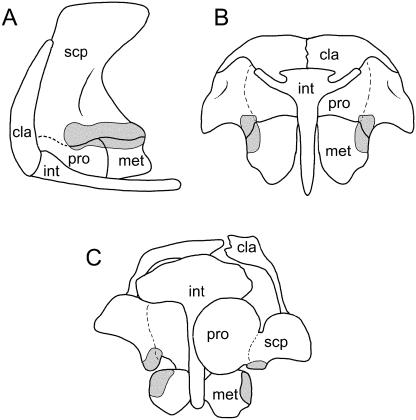 Fig. 13