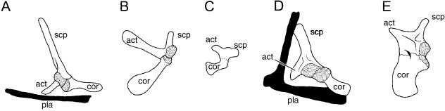 Fig. 14