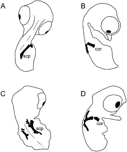 Fig. 9