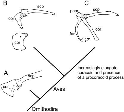 Fig. 11