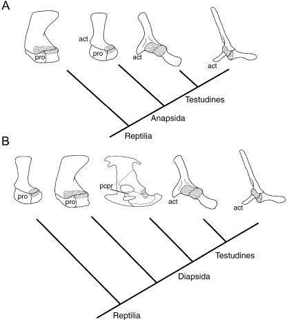 Fig. 15