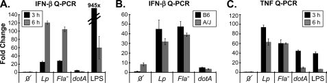 FIGURE 2.