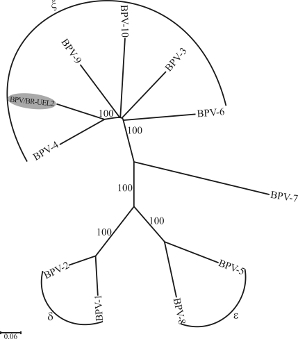 Figure 2