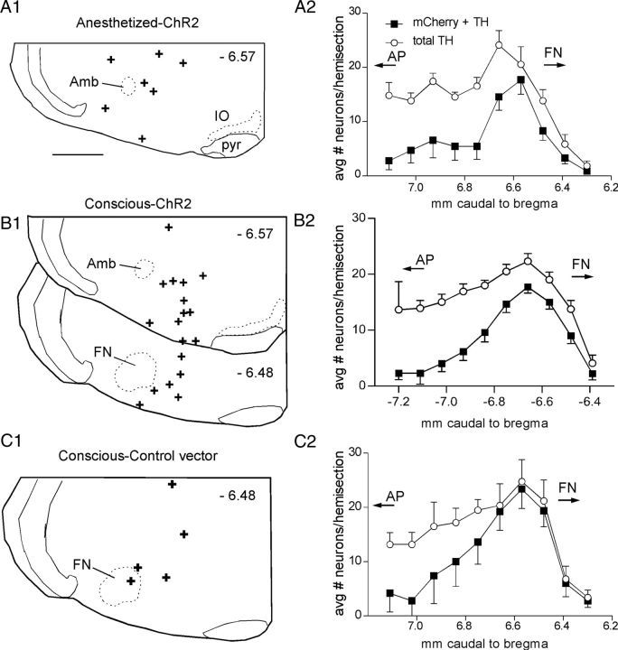 Figure 2.