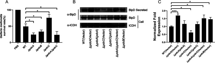 FIG 5