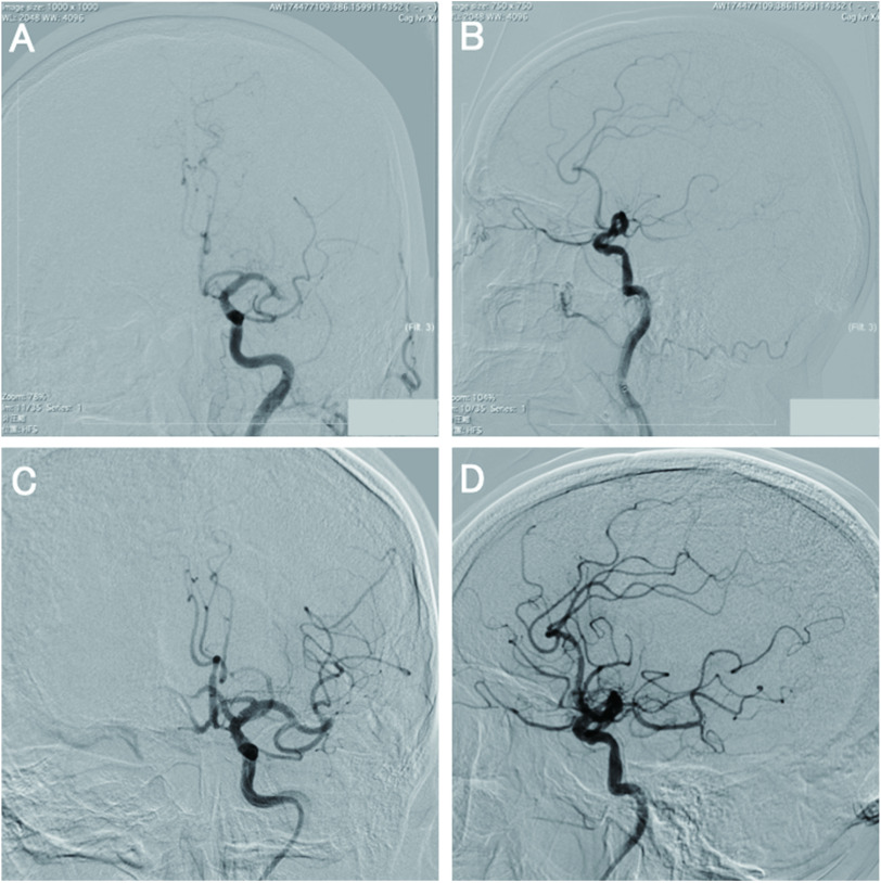 Fig. 2 