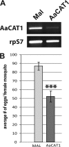 FIGURE 9.