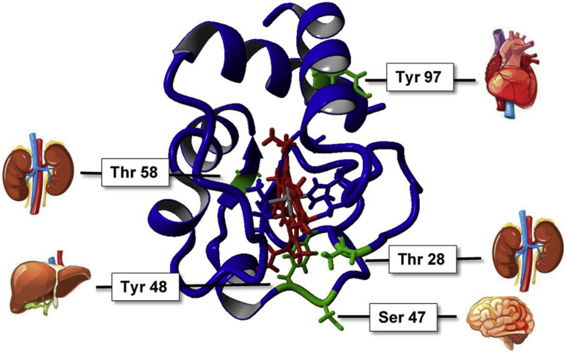 Fig. 3.