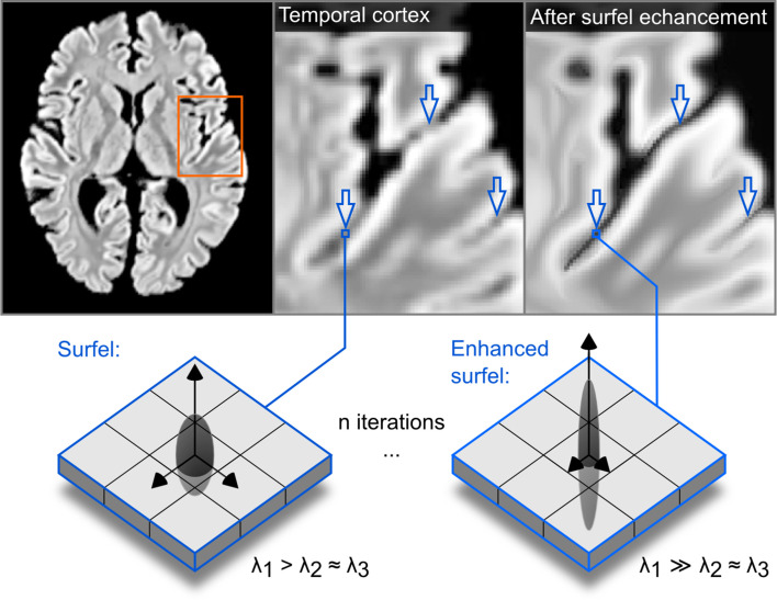 Figure 12.