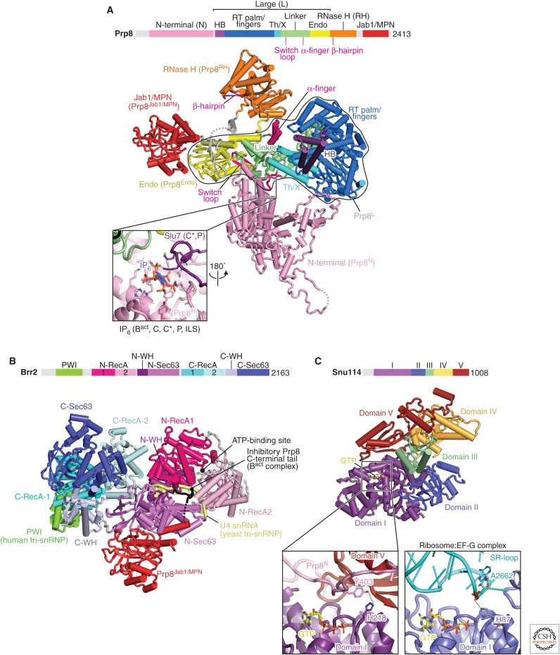 Figure 4.