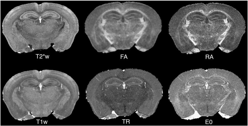 Fig. 2