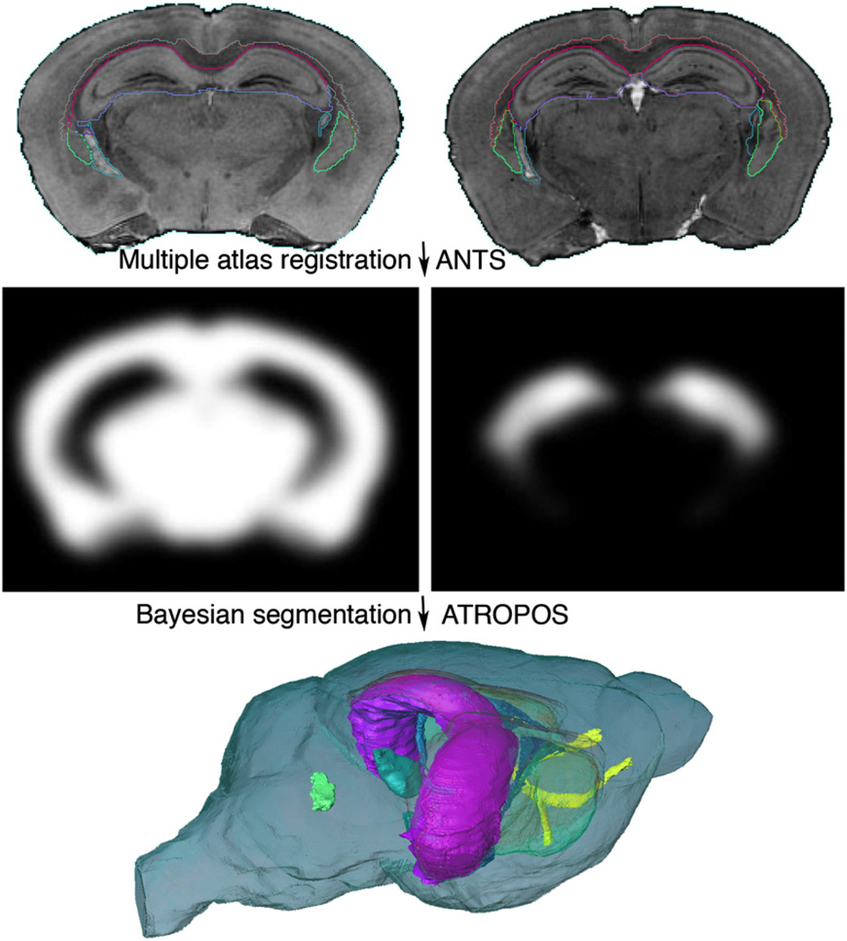 Fig. 7