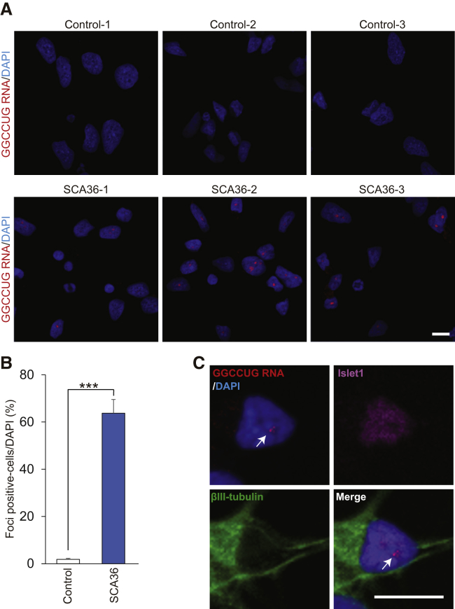 Figure 3