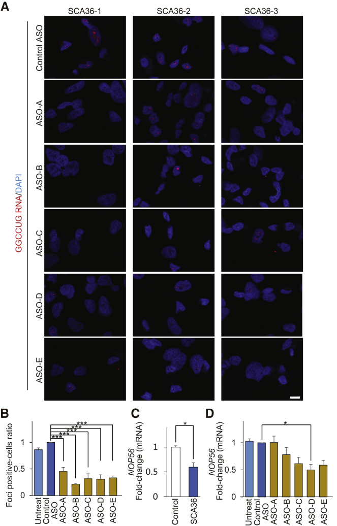 Figure 5