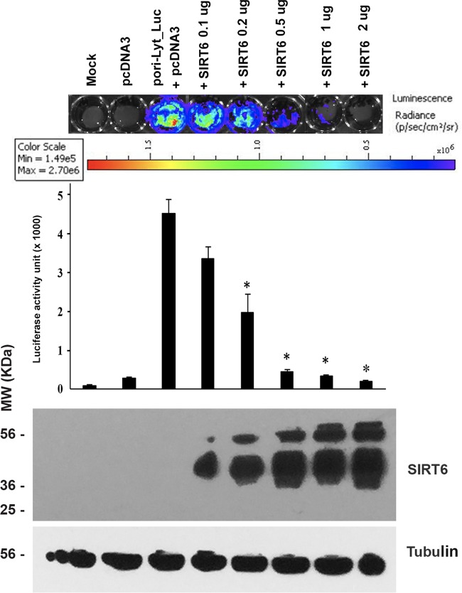 FIG 2