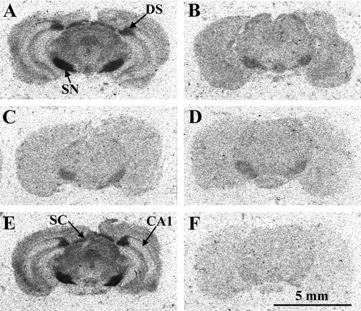 Fig. 9.