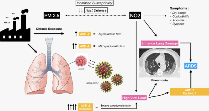 Image, graphical abstract