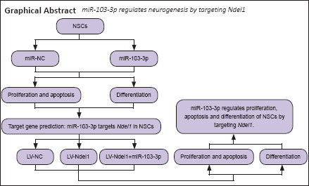 graphic file with name NRR-17-401-g001.jpg