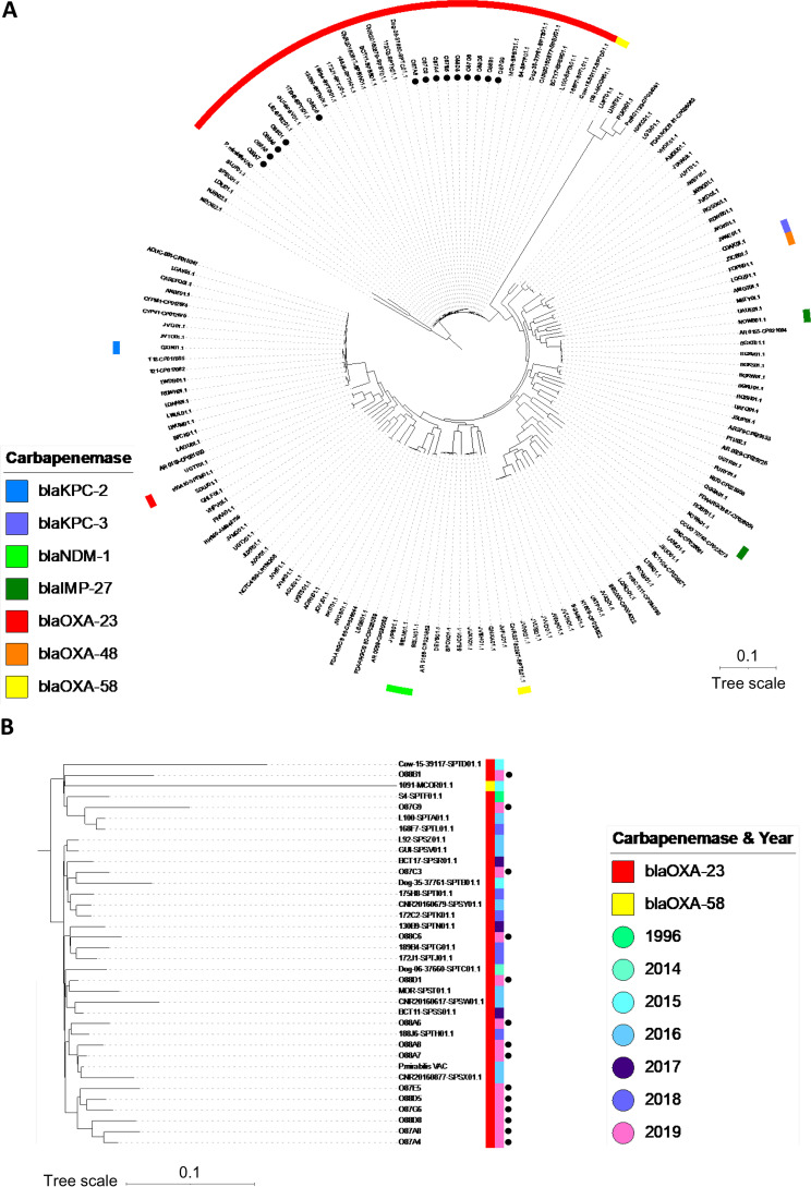 FIG 2