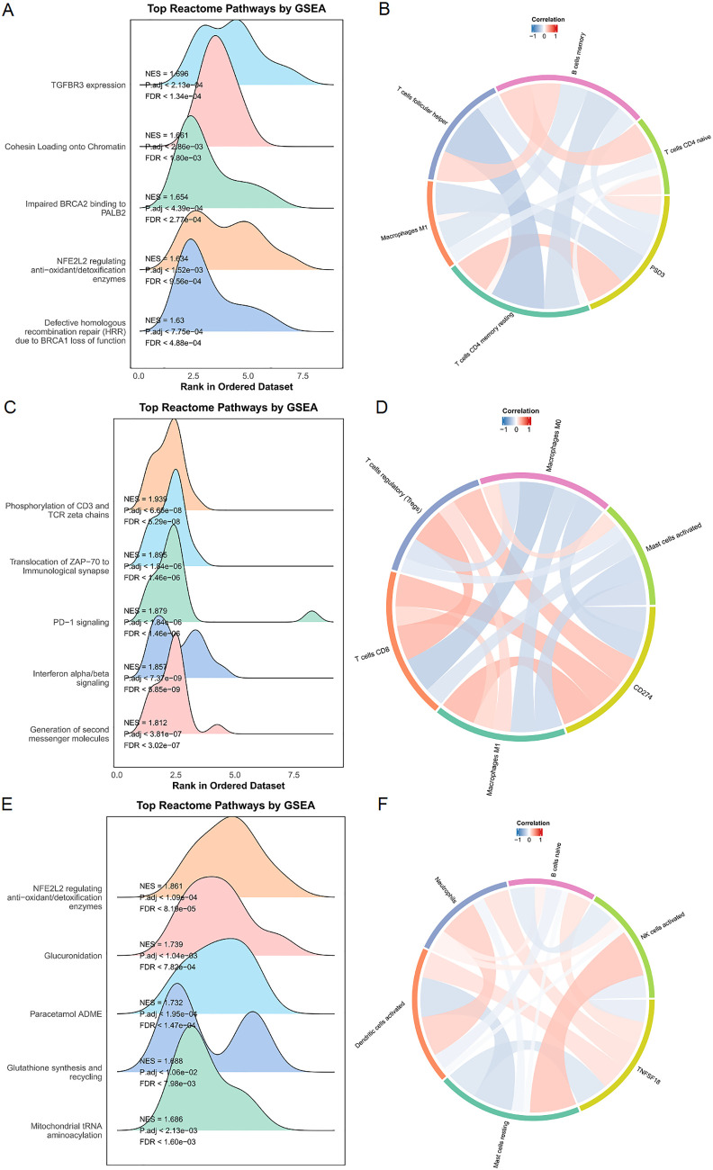 A set of six images depicting data visualizations. Images A, C, and E are ridge plots titled “Top Reactome Pathways by GSEA,” showing pathways with normalized enrichment scores and false discovery rates. Images B, D, and F are circular chord diagrams illustrating correlations between various immune cell types, depicted with colored arcs and connecting bands indicating positive (red) and negative (blue) correlations. Each diagram highlights different immune cell interactions, such as T cells and macrophages.